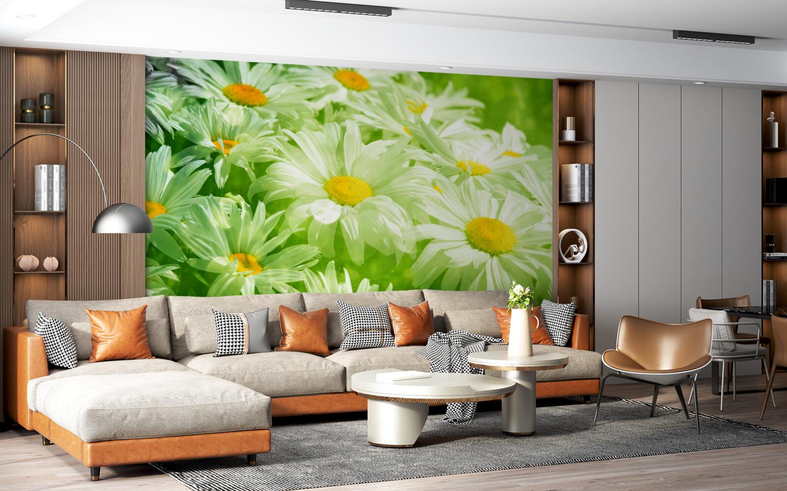 Фотошпалери ніжні ромашки серед зелені