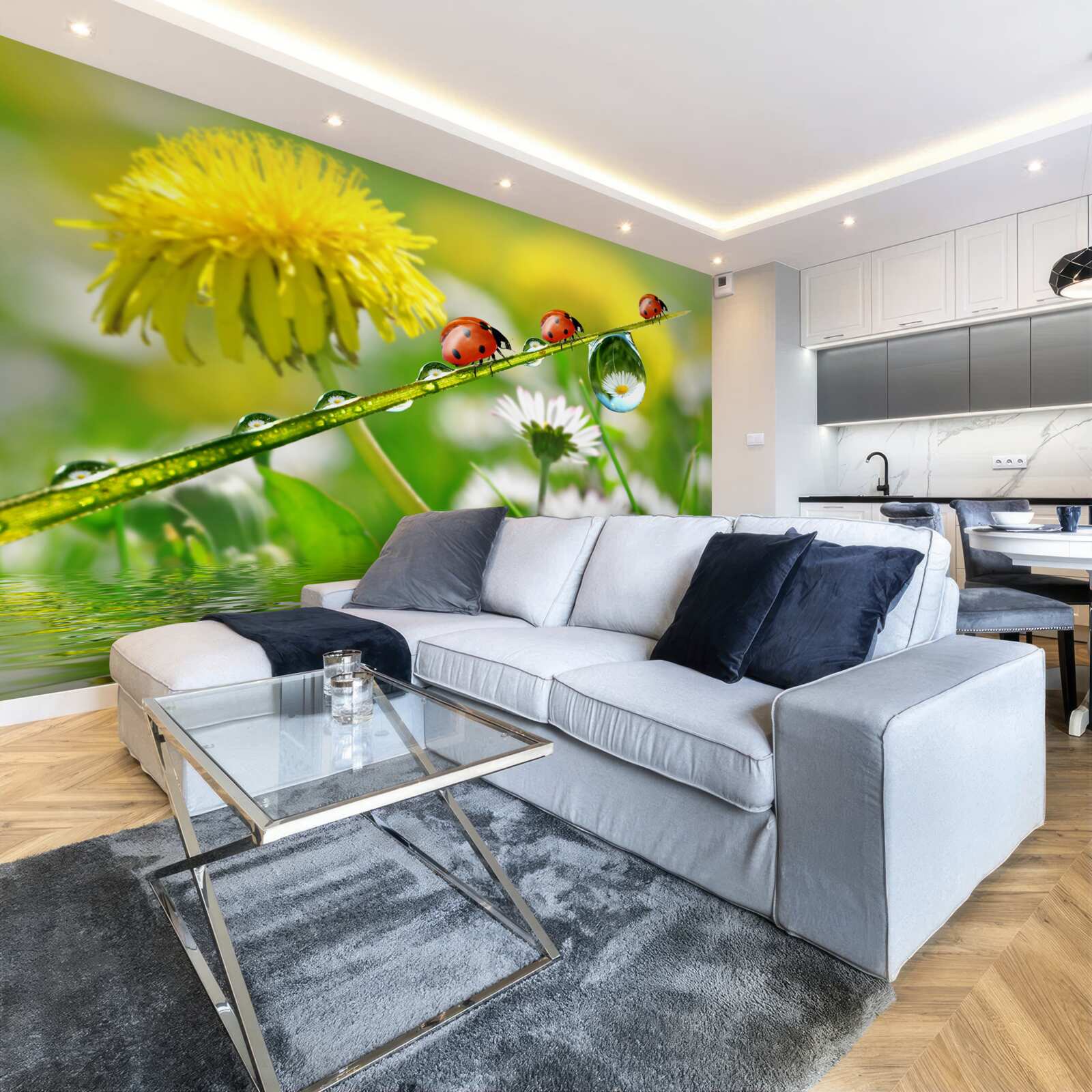 Фотошпалери сонечко і кульбаба після бурі