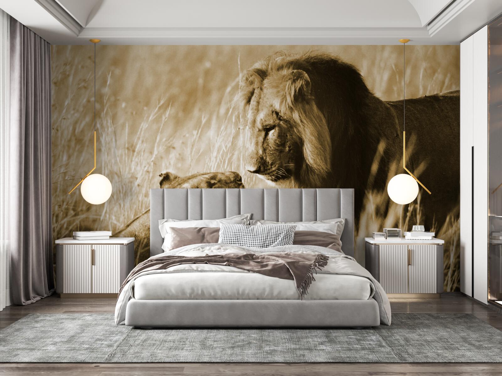 Фотошпалери лев і левиця знайомляться один з одним