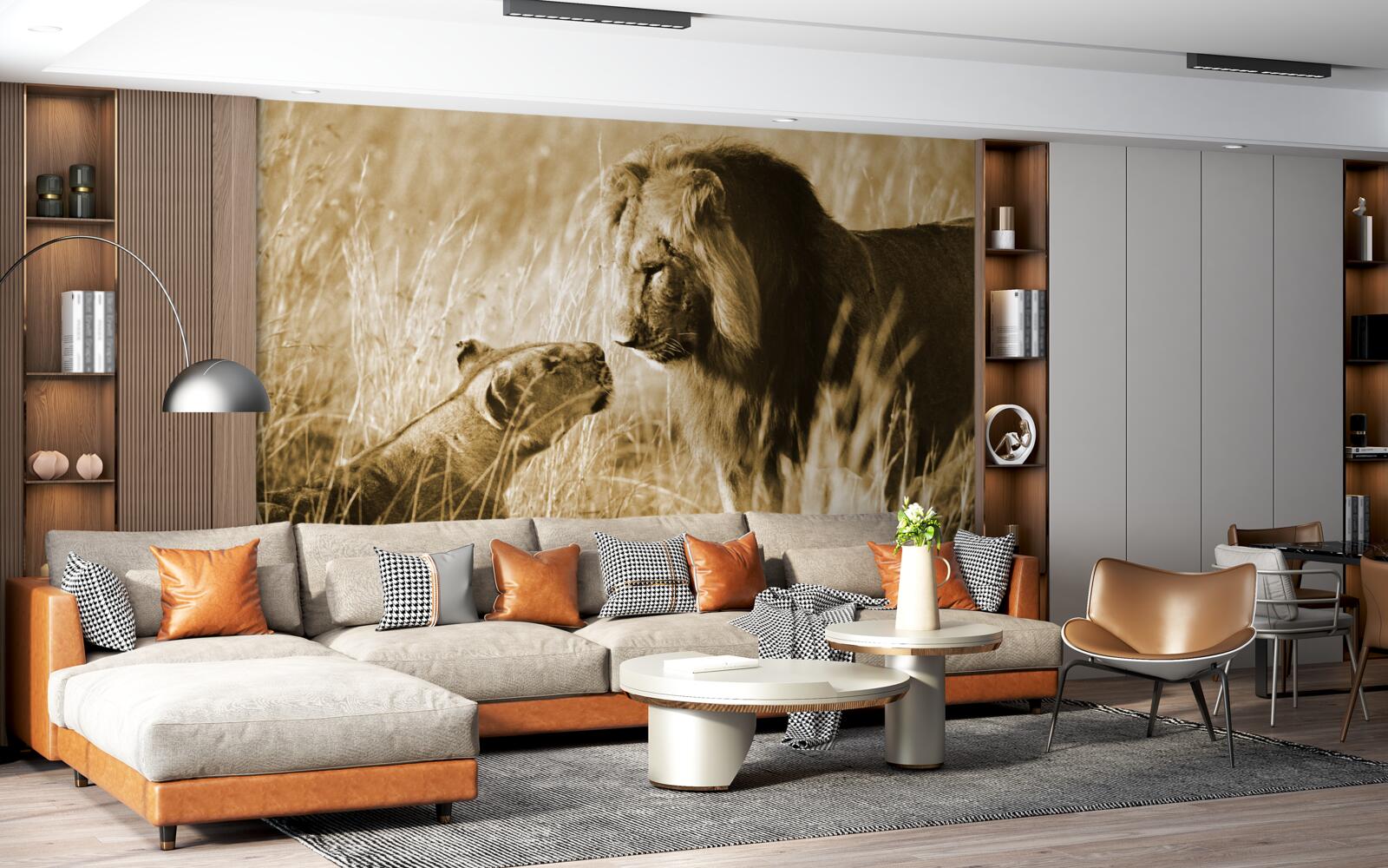 Фотошпалери лев і левиця знайомляться один з одним