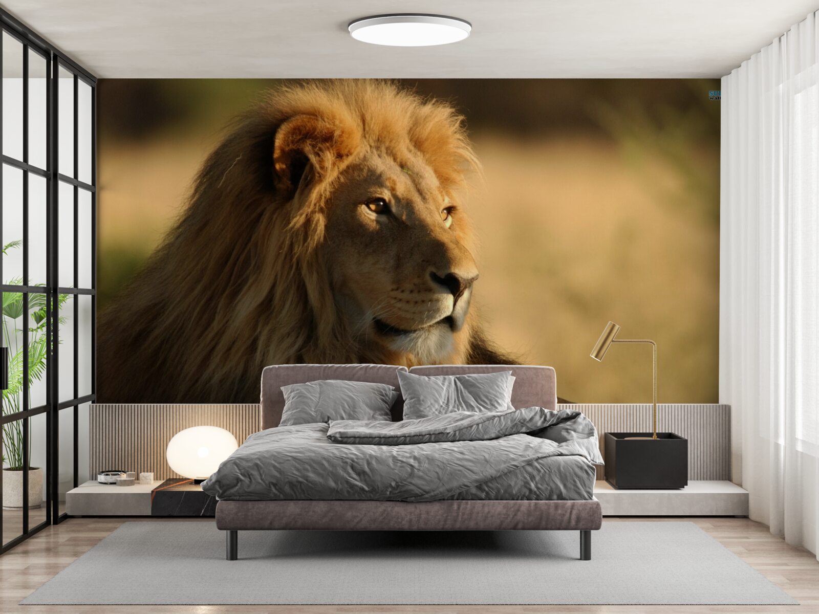 Фотошпалери Саванна Монарх у відпустці