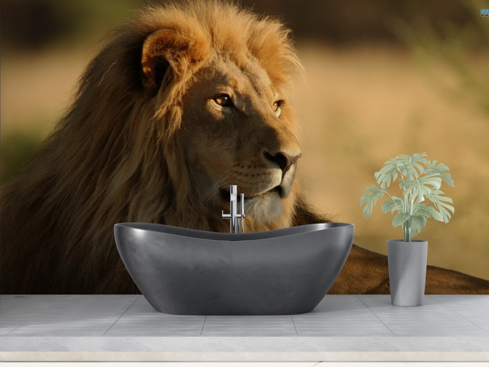 Фотошпалери Саванна Монарх у відпустці