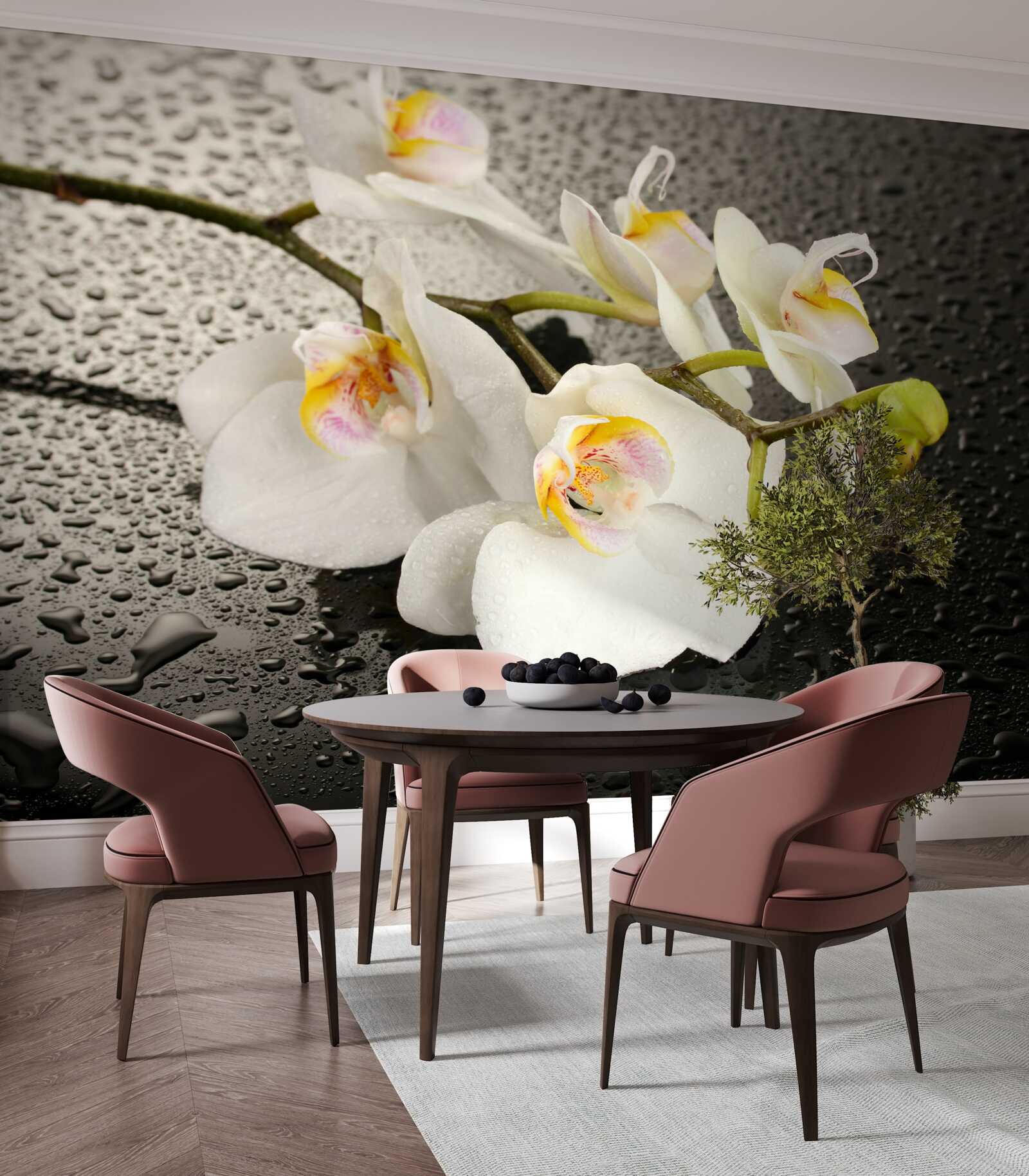 Фотошпалери Білосніжна орхідея після сильного дощу