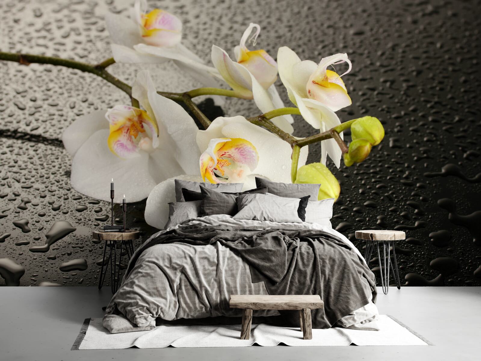 Фотошпалери Білосніжна орхідея після сильного дощу