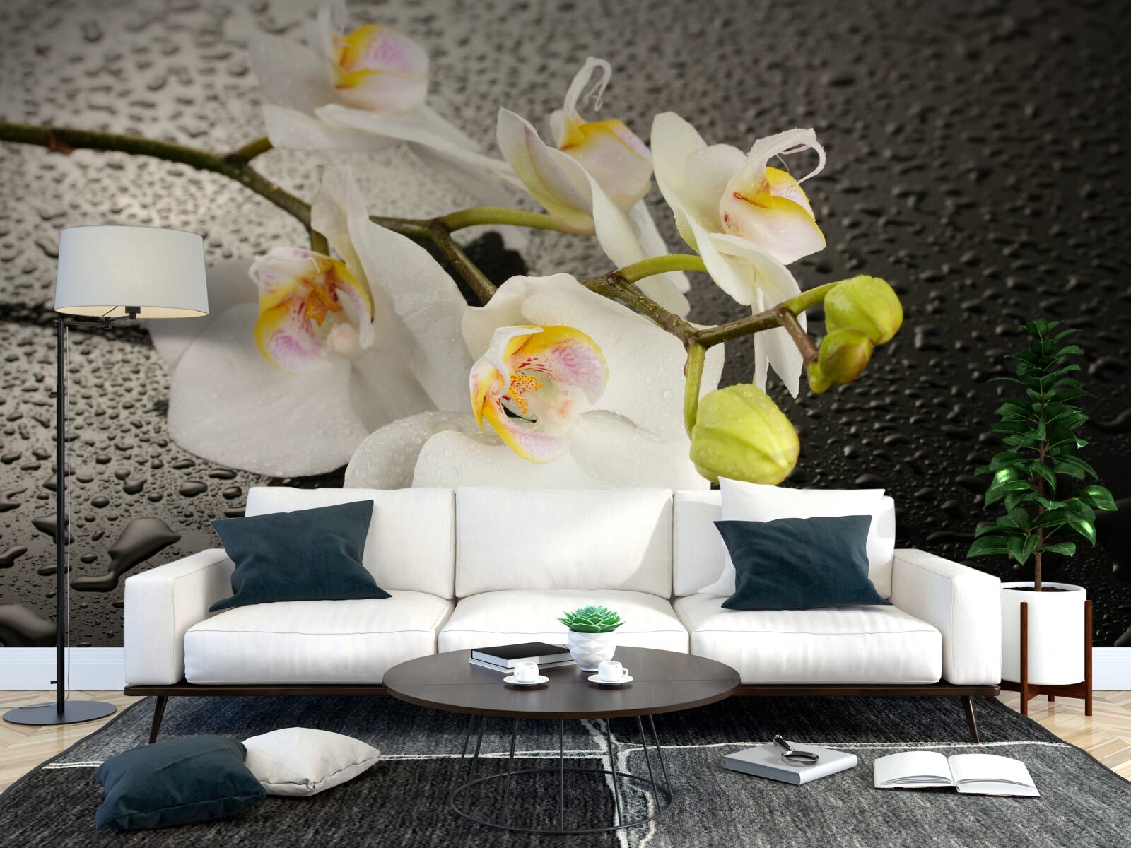 Фотошпалери Білосніжна орхідея після сильного дощу