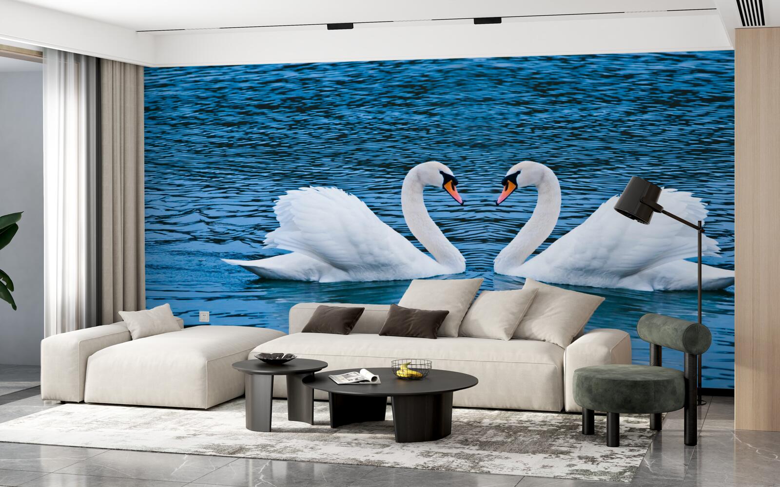 Фотошпалери пара лебедів на поверхні води створює ідилічну сімейну картину