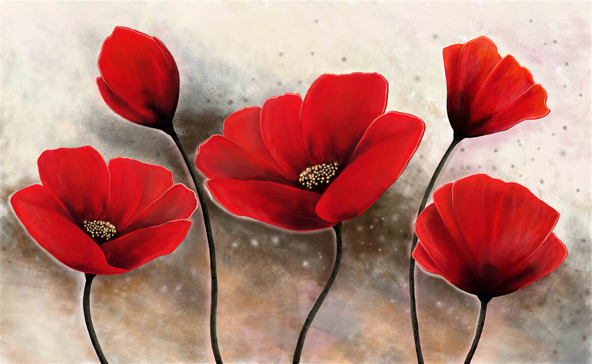 Фотошпалери після дощу червоні маки