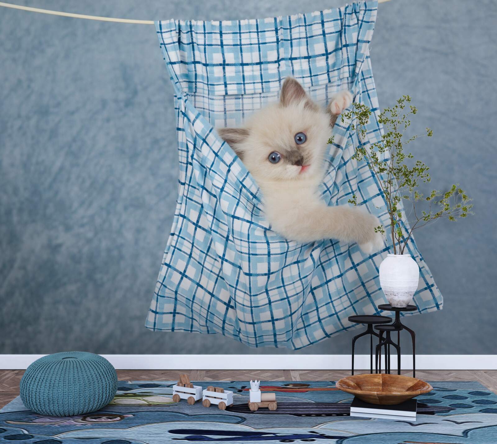 Фотошпалери сумка виявилася пасткою для сіамського кота