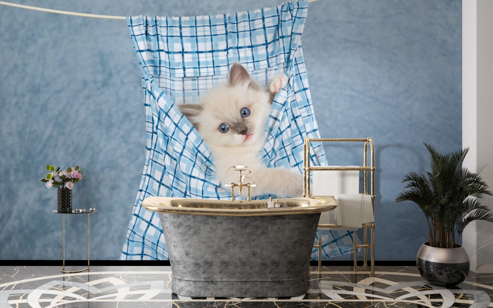 Фотошпалери сумка виявилася пасткою для сіамського кота