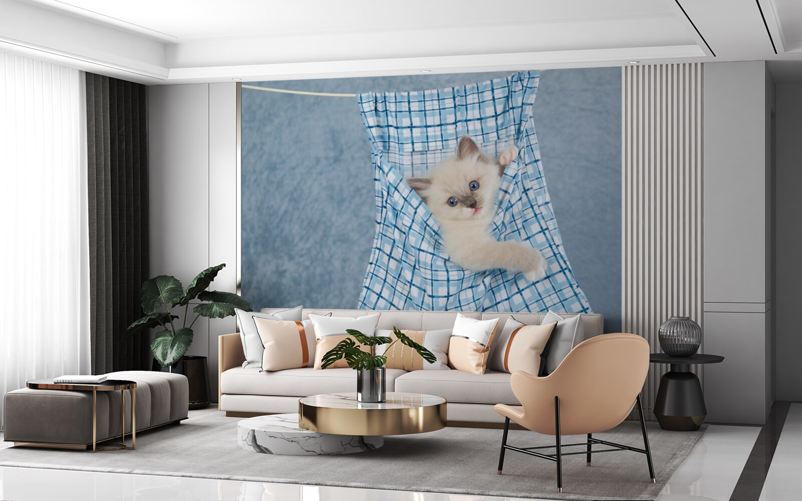 Фотошпалери сумка виявилася пасткою для сіамського кота