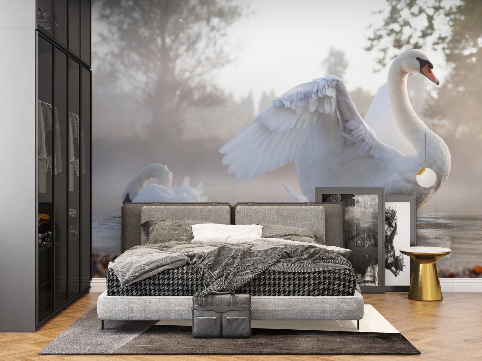 Фотошпалери величний білосніжний лебідь, що пливе по воді