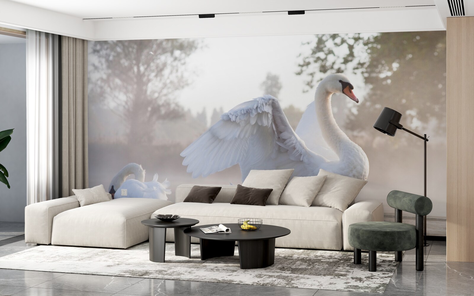 Фотошпалери величний білосніжний лебідь, що пливе по воді