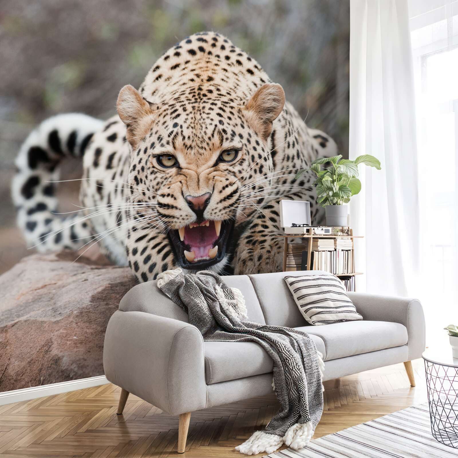 Фотошпалери збуджений леопард готується до стрибка