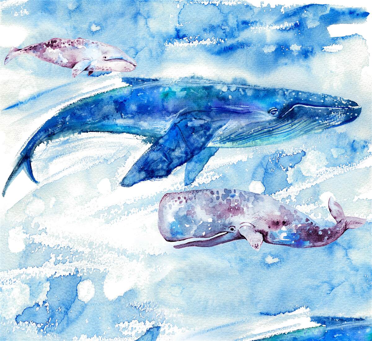 Фотошпалери водозабір синього кита