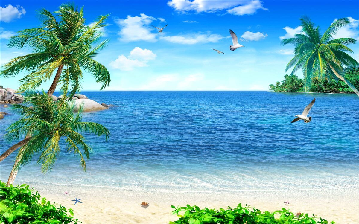 Фотошпалери берегова лінія пальм у тропічному регіоні