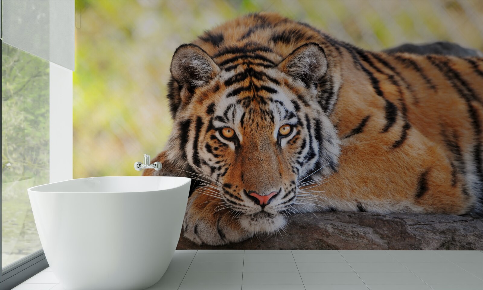 Фотошпалери тигр-хижак потрапив у засідку