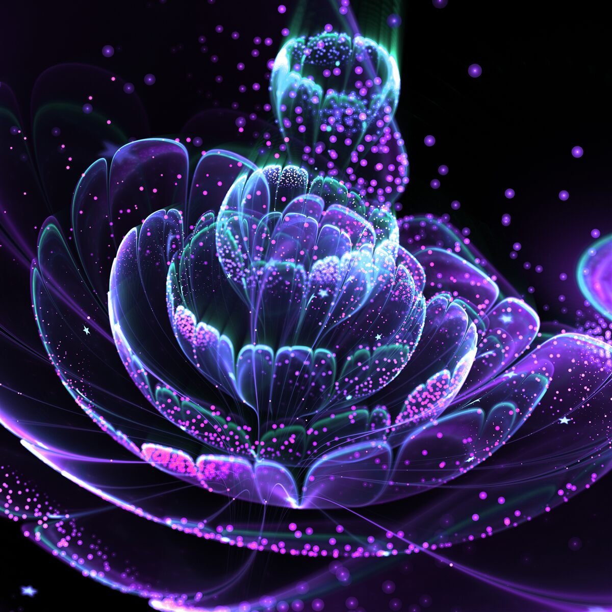 Фотошпалери абстрактна синя квітка на чорному тлі