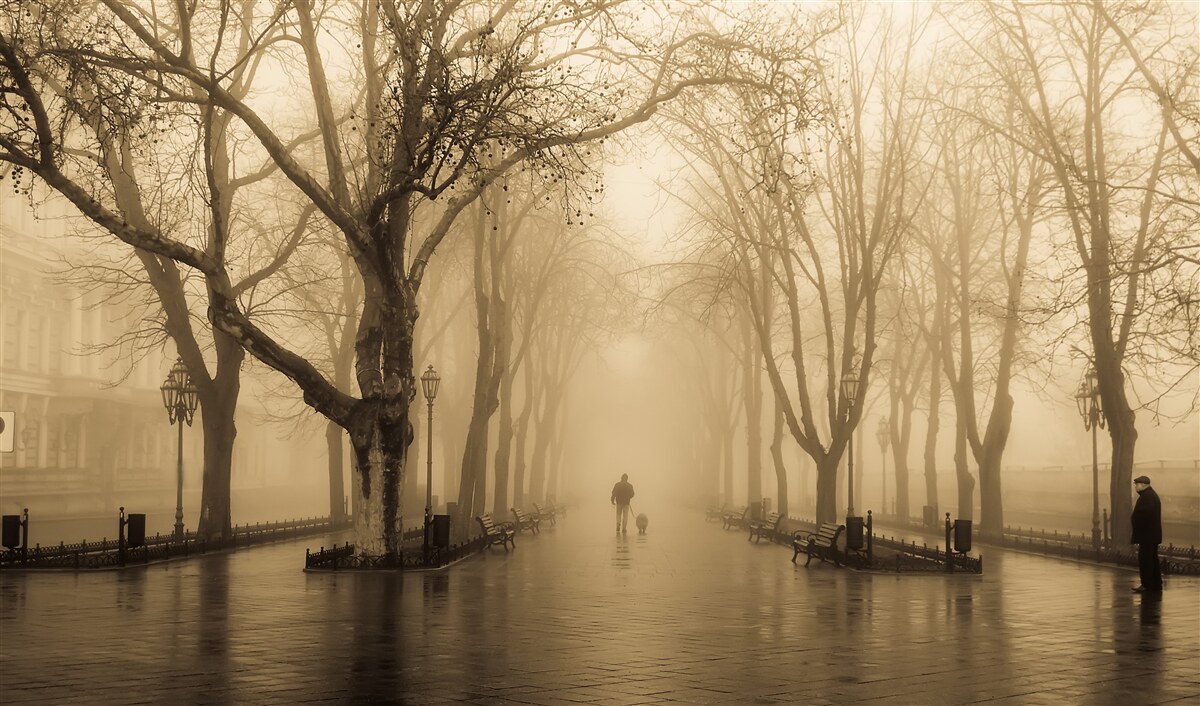 Фотошпалери проспект заповнений дощем і туманом