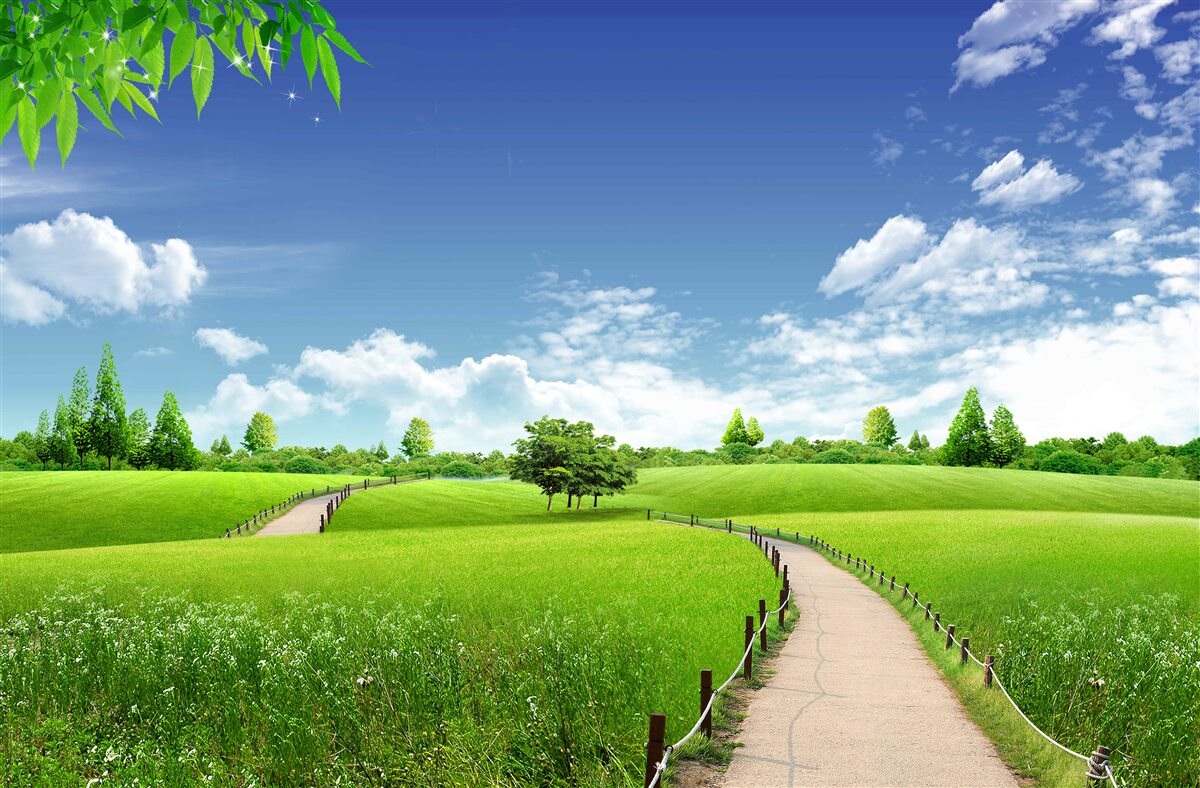 Фотошпалери Стежка між зеленими насадженнями