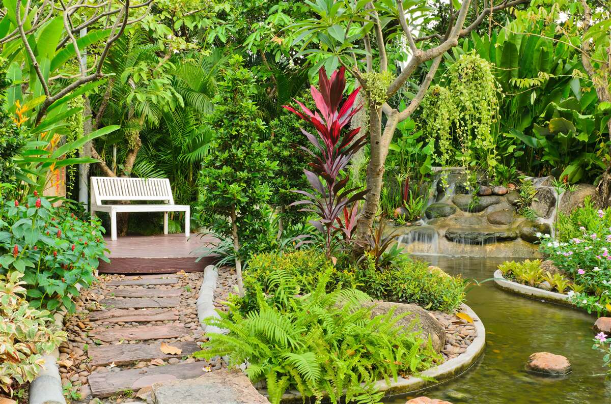 Фотошпалери тропічний рай у лісовій місцевості біля водойми