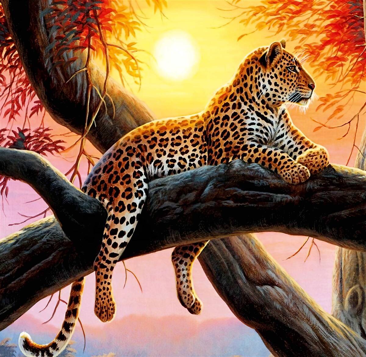 Фотошпалери леопард відпочиває на світанку