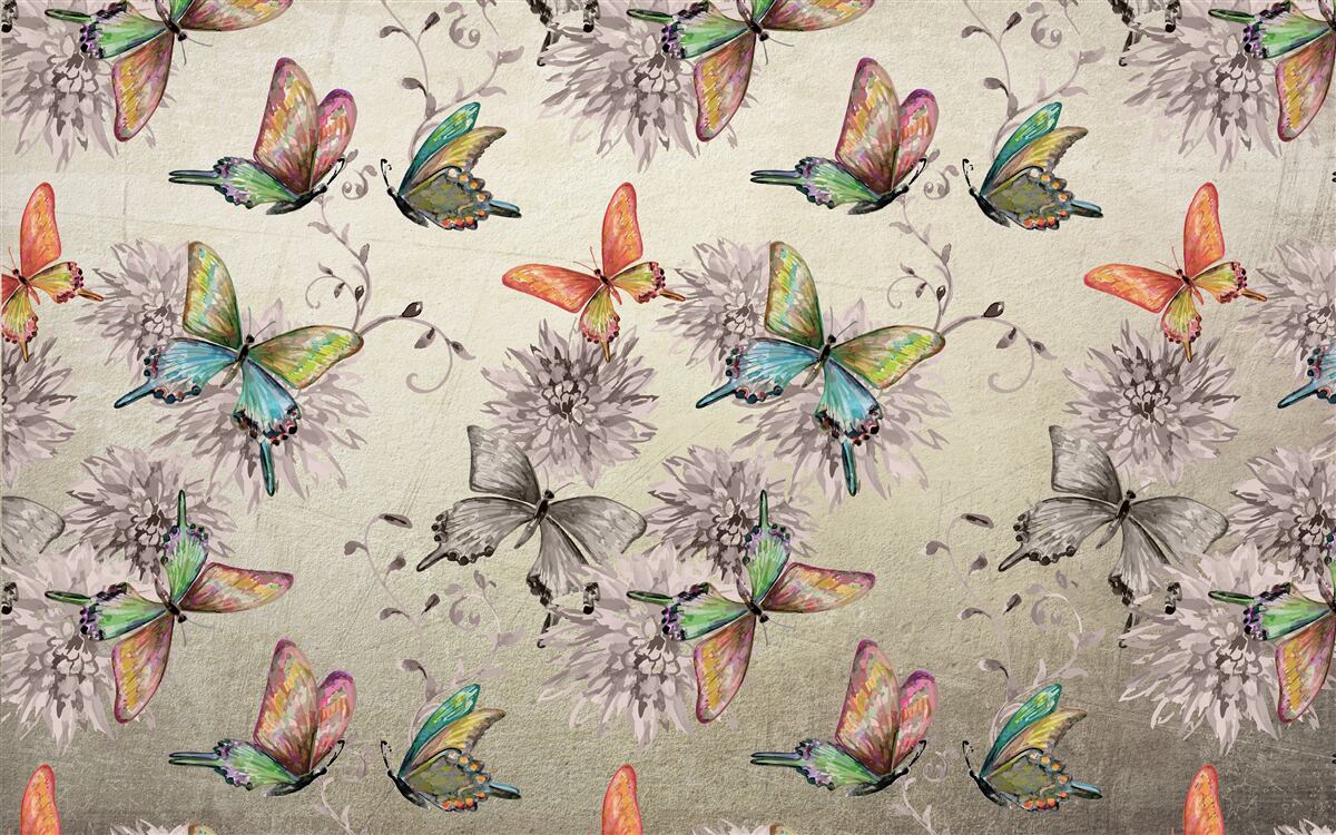 Фотошпалери багато метеликів, всі різних кольорів