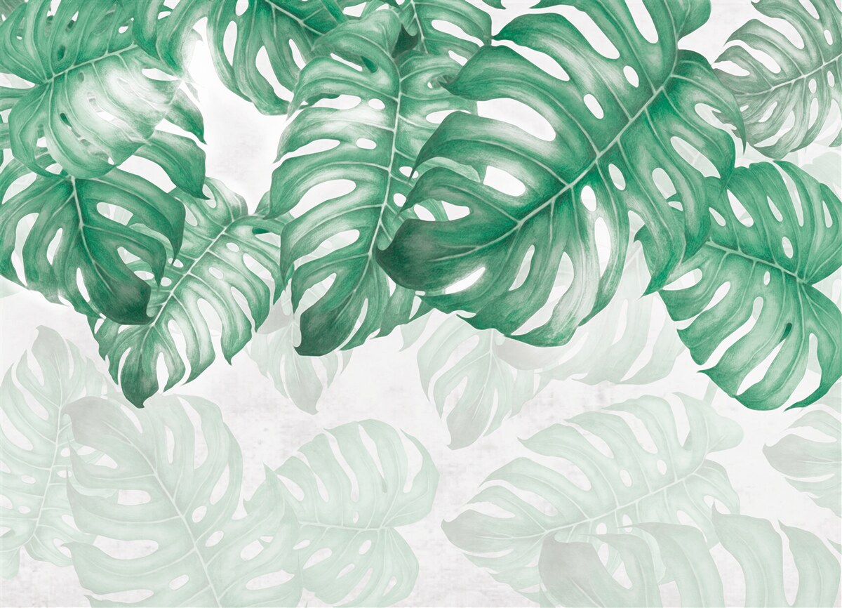 Фотошпалери листя папороті на світлому тлі