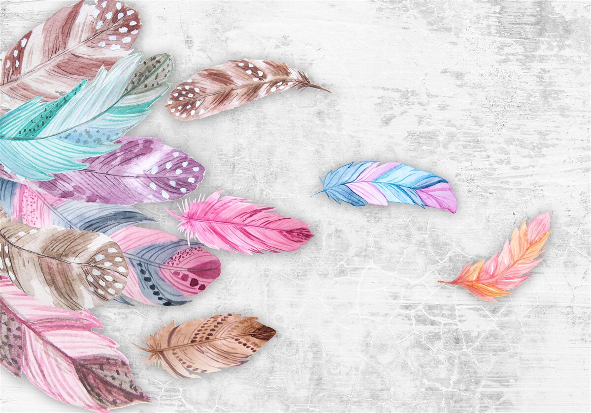 Фотошпалери пір'я м'яких світлих відтінків