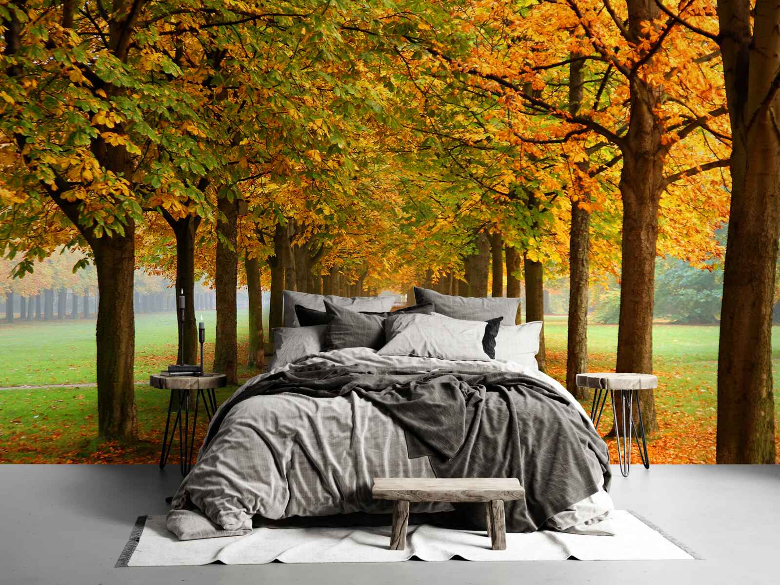 Фотошпалери нескінченний осінній шлях