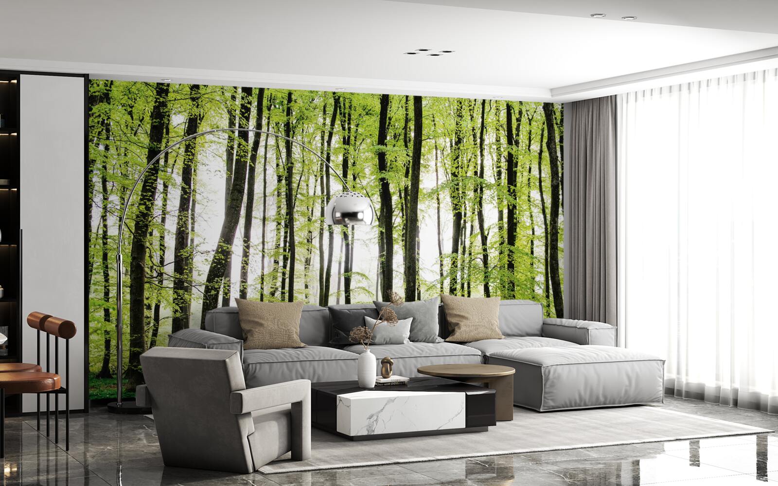 Фотошпалери ранкові дерева тягнуться вгору стрункими колонами