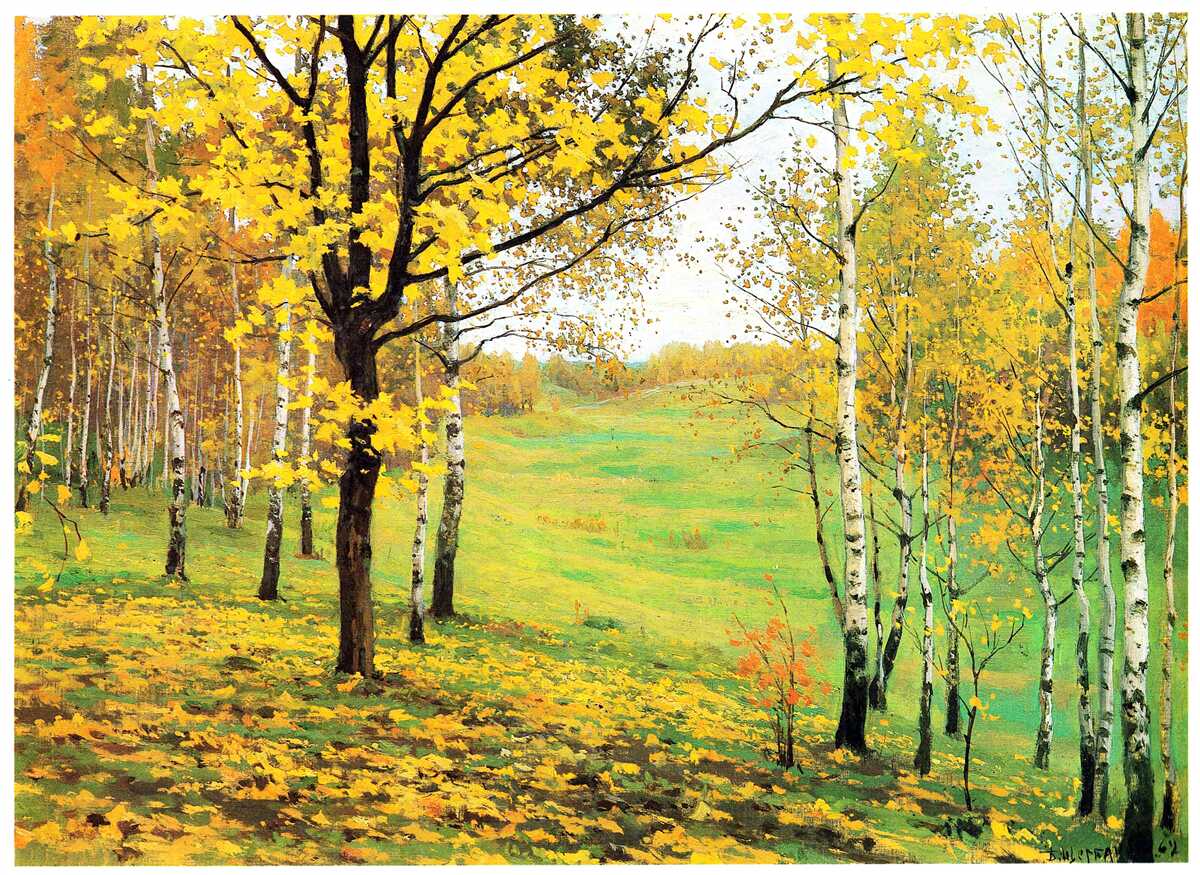 Фотошпалери Осінній ліс оповитий дивовижними відтінками