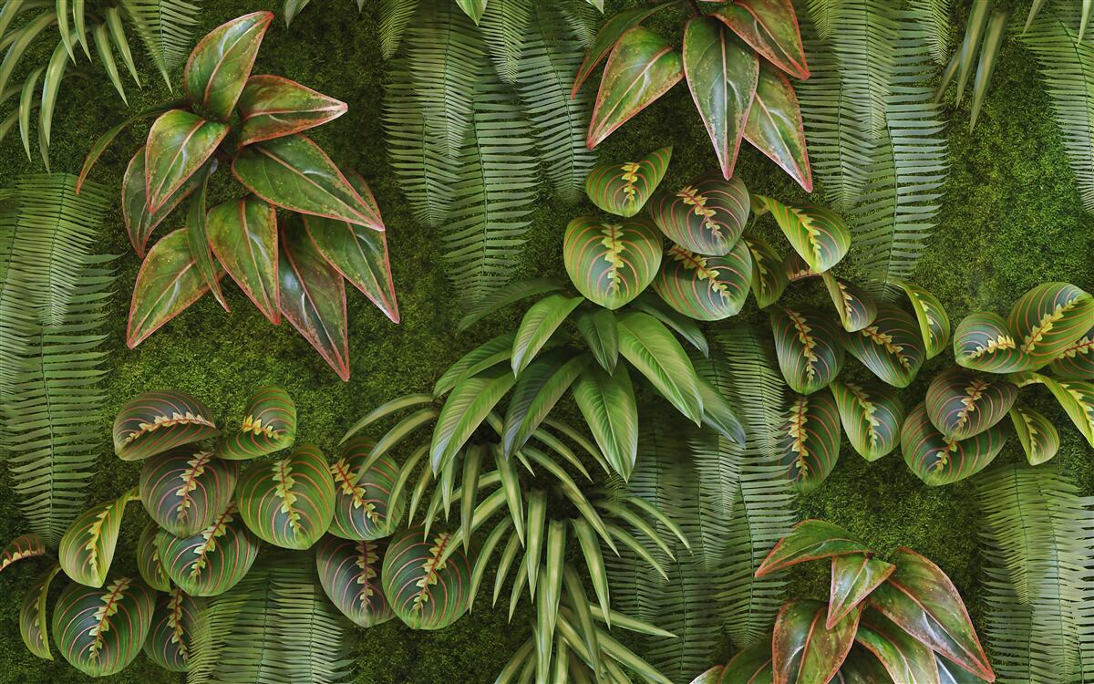 Фотошпалери листя бананів і папоротей темно-зелені