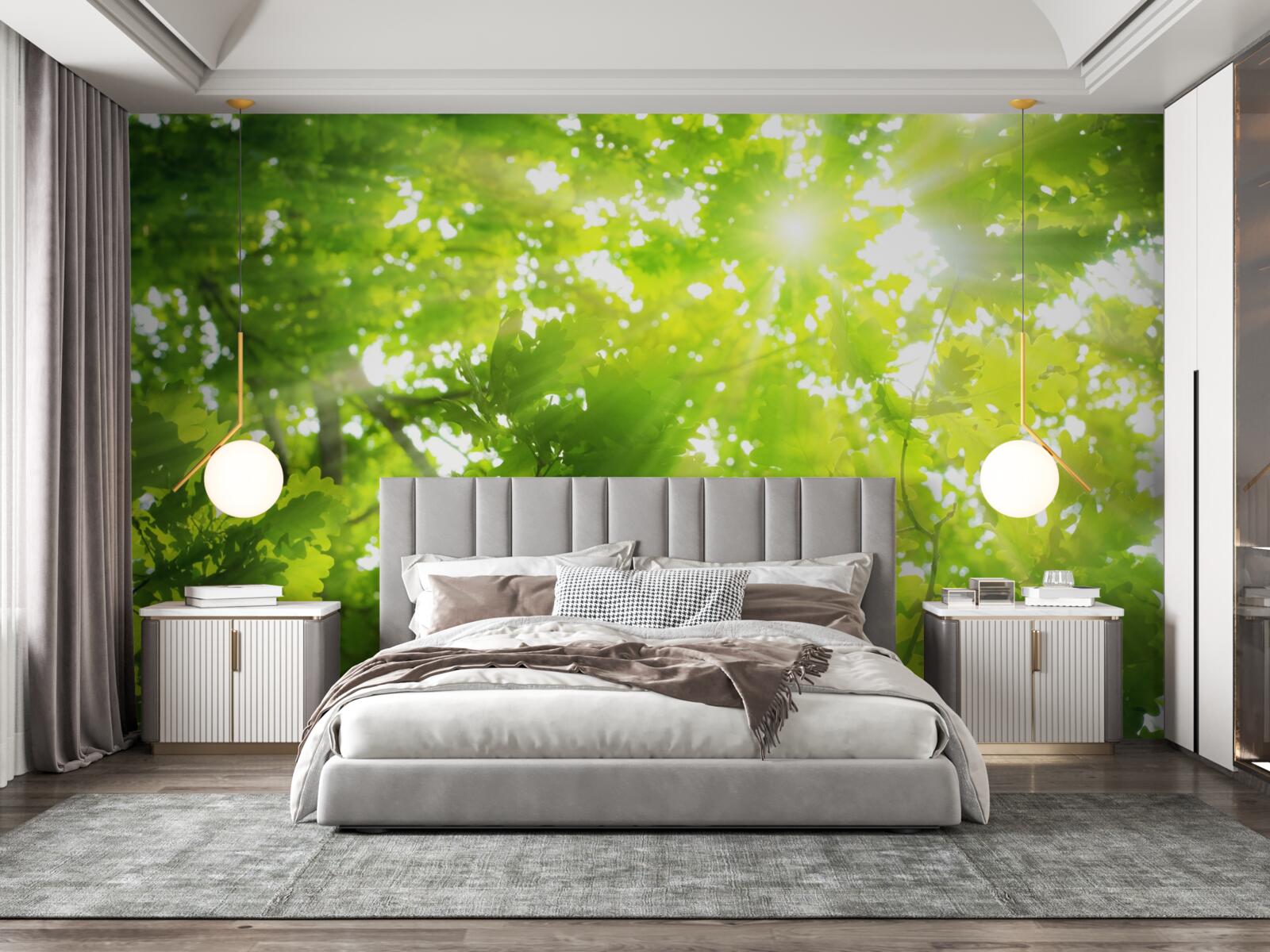 Фотошпалери сонячні промені пробиваються крізь зелені чагарники