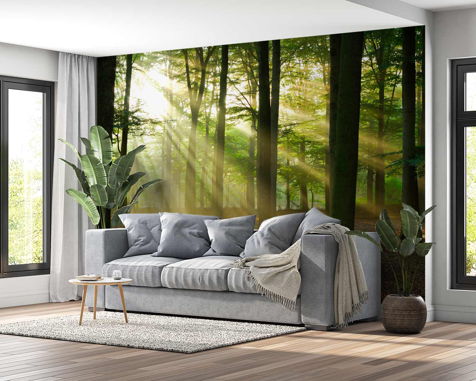 Фотошпалери сонячні промені пробиваються крізь ранковий туман у пустелі