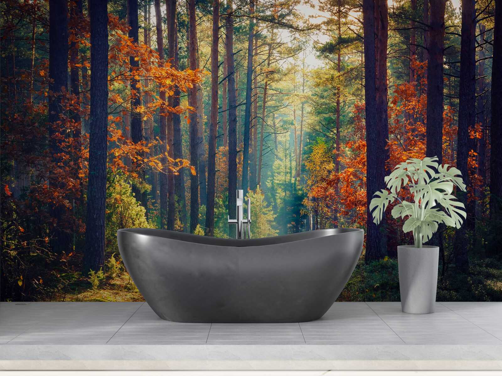 Фотошпалери Промінь сонця в осінньому лісі