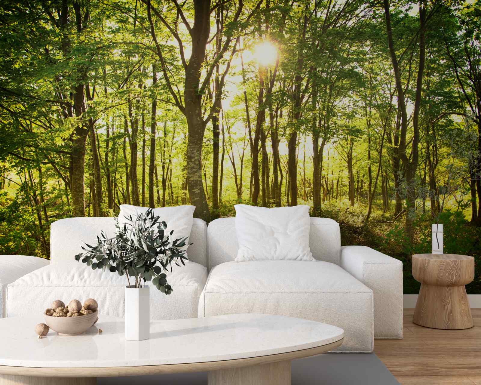 Фотошпалери сонячне світло освітлює осиковий гай