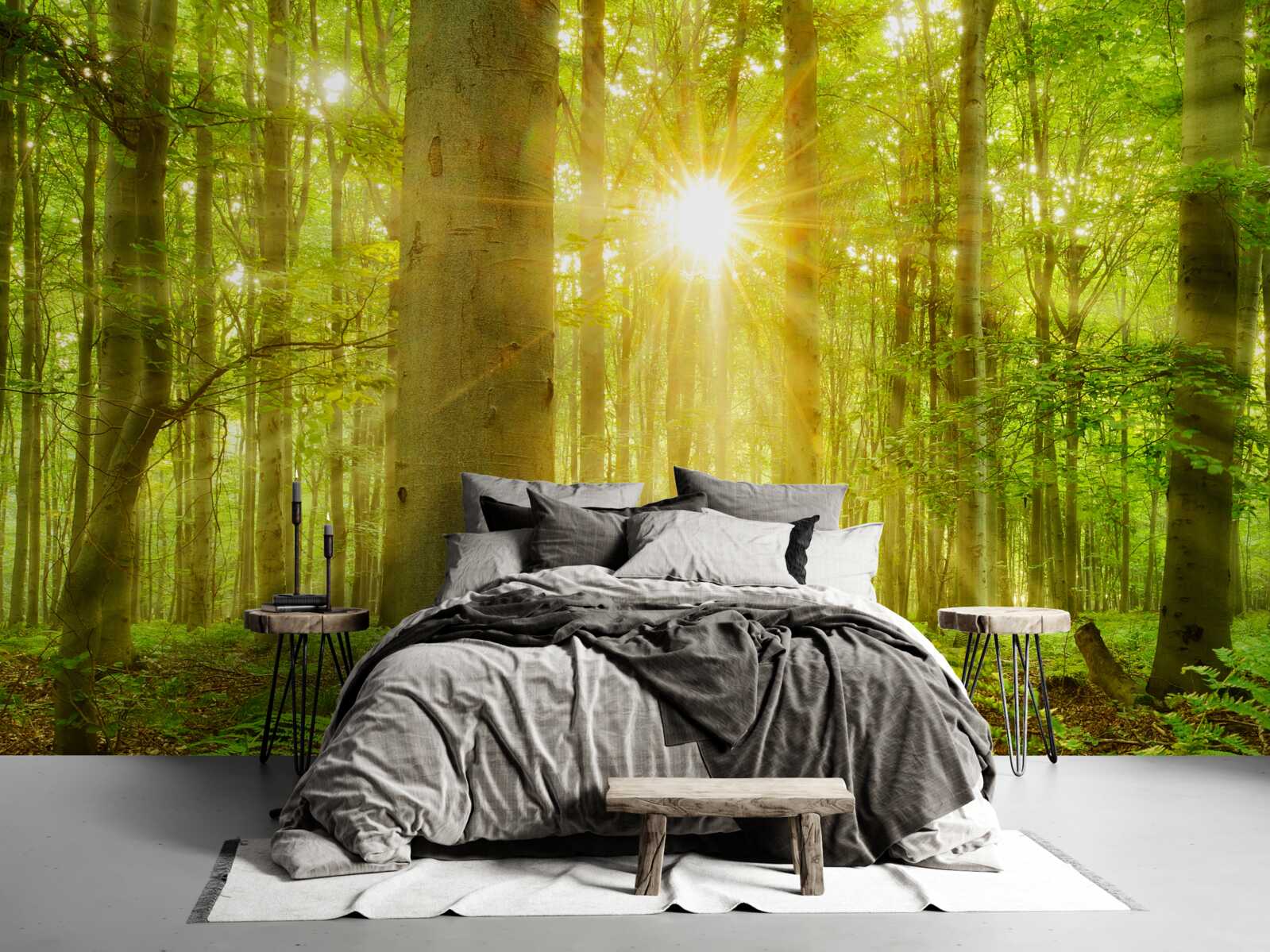 Фотошпалери Сонячне світло в буковому лісі