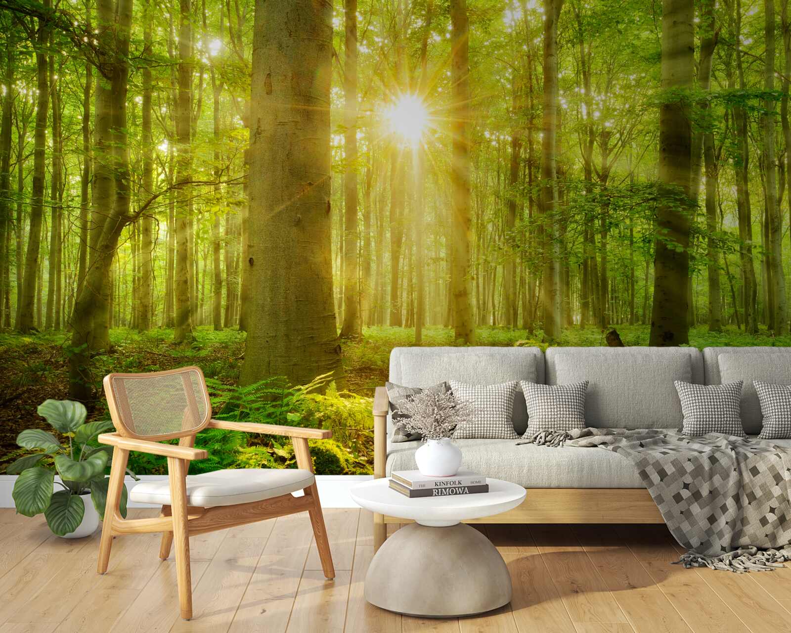 Фотошпалери ліс оживає під ранковим сонцем