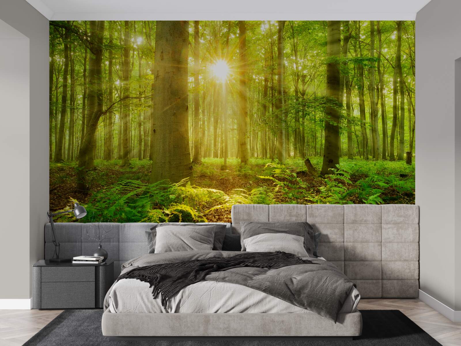 Фотошпалери ліс оживає під ранковим сонцем