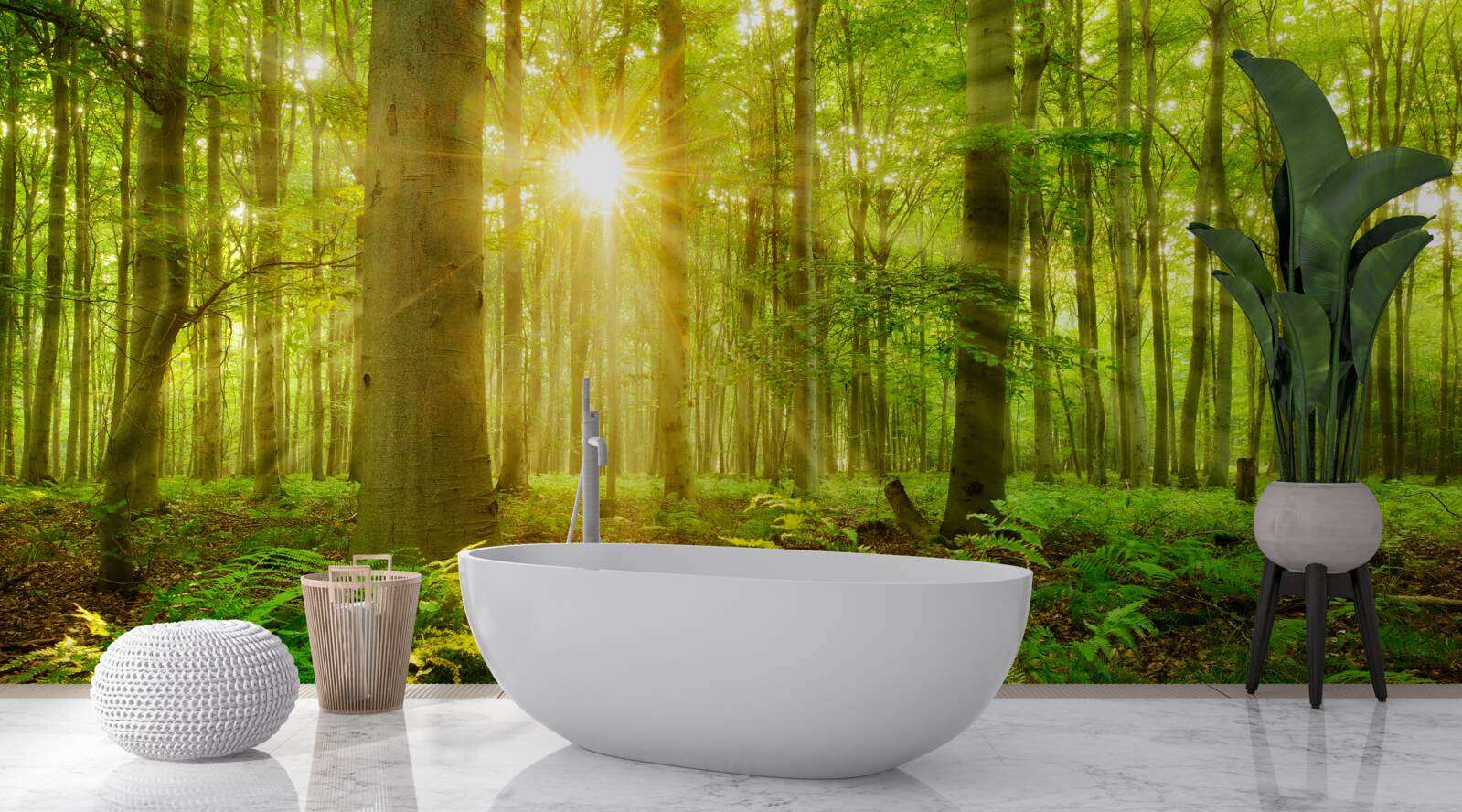 Фотошпалери ліс оживає під ранковим сонцем