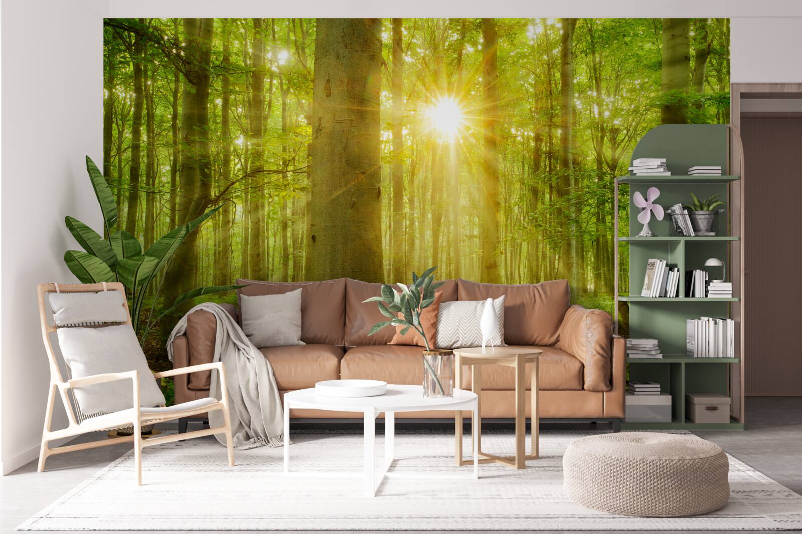 Фотошпалери ліс оживає під ранковим сонцем