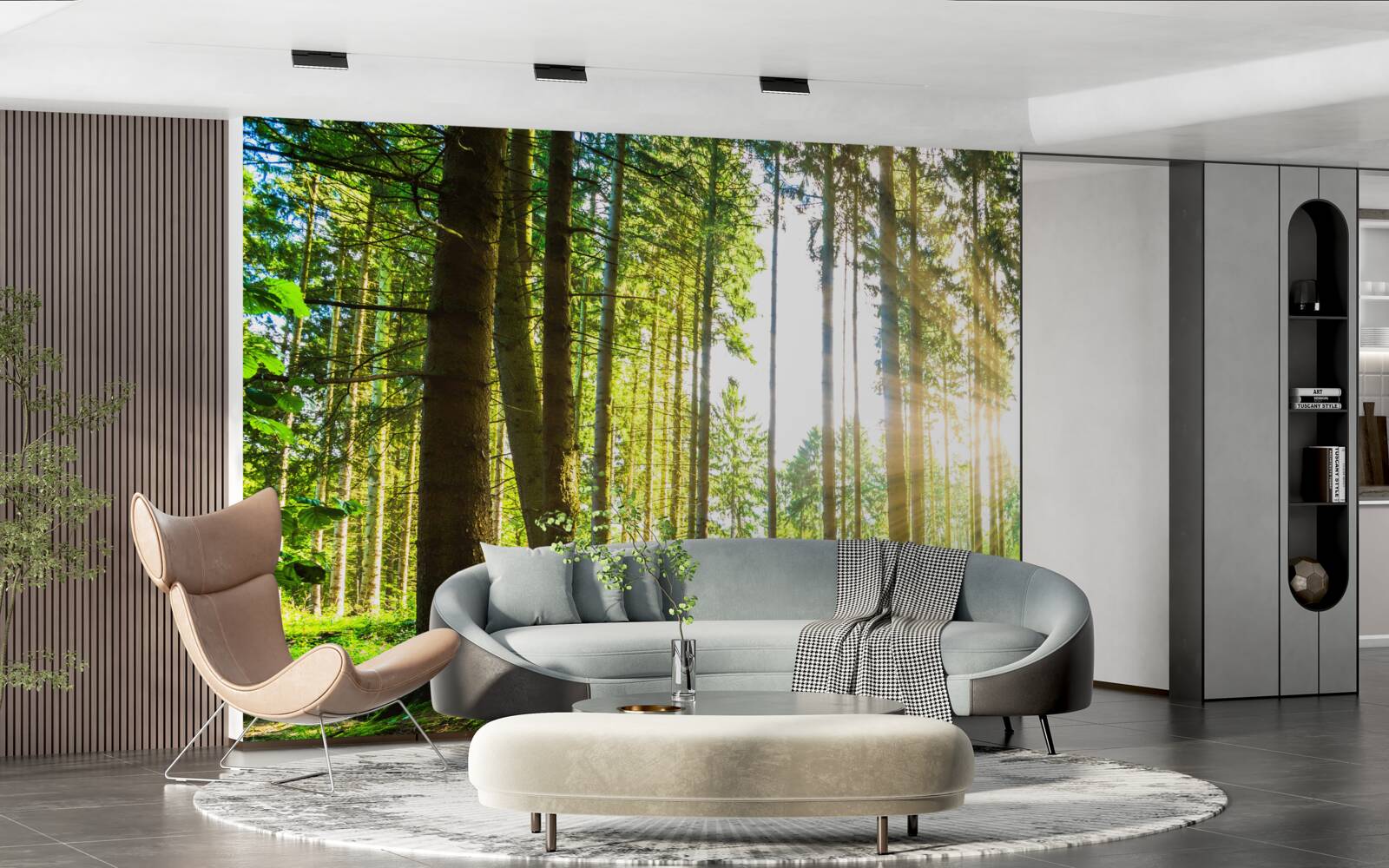 Фотошпалери сонячні промені проникають між високими деревами