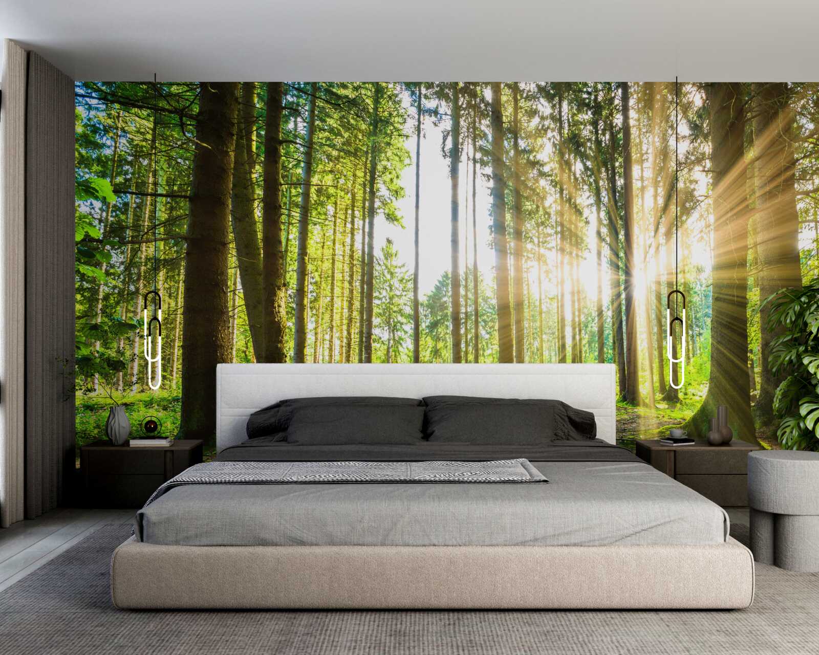 Фотошпалери сонячні промені проникають між високими деревами