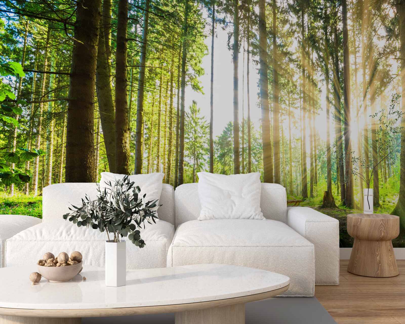 Фотошпалери сонячні промені проникають між високими деревами