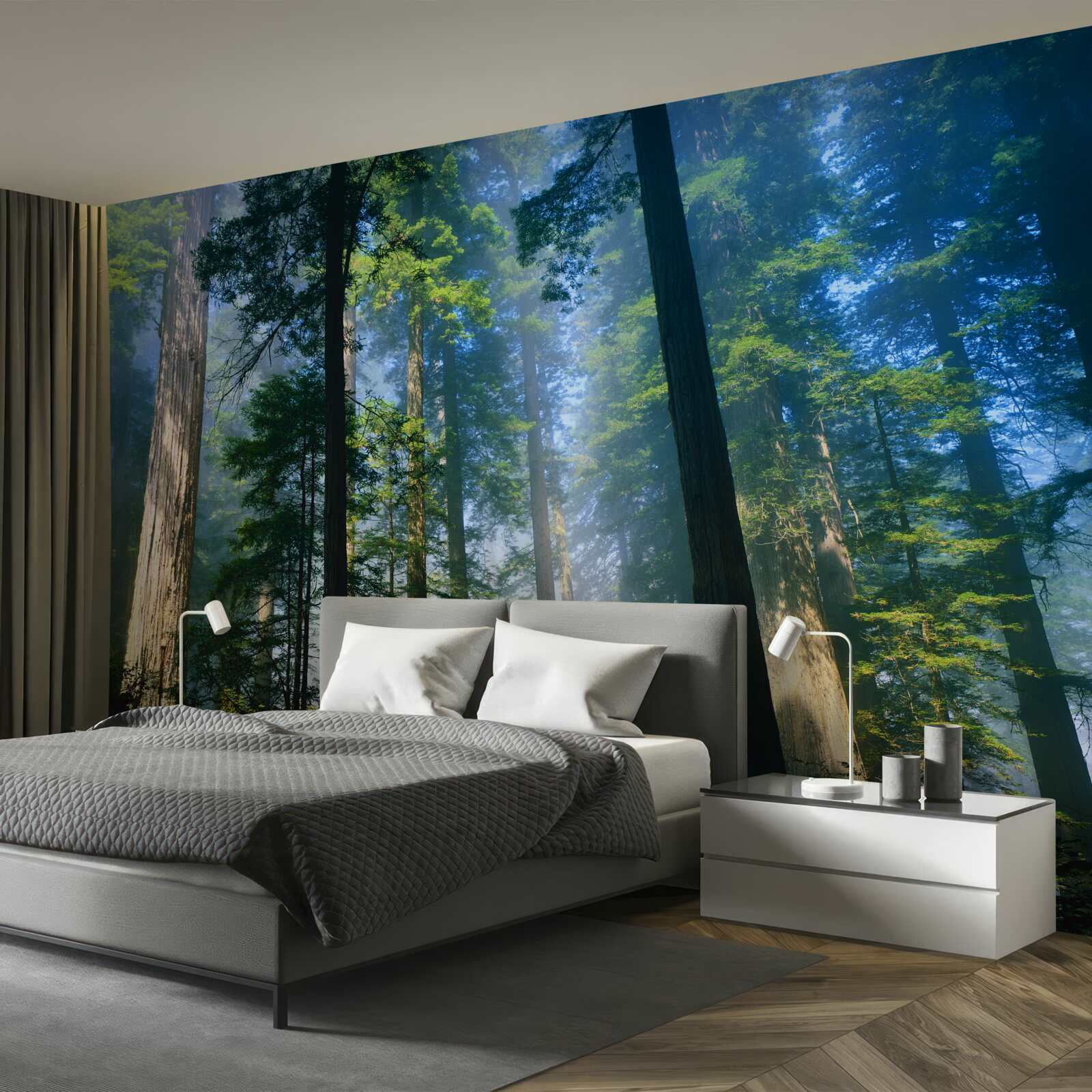 Фотошпалери тонкий туманний покрив серед високих дерев у лісі