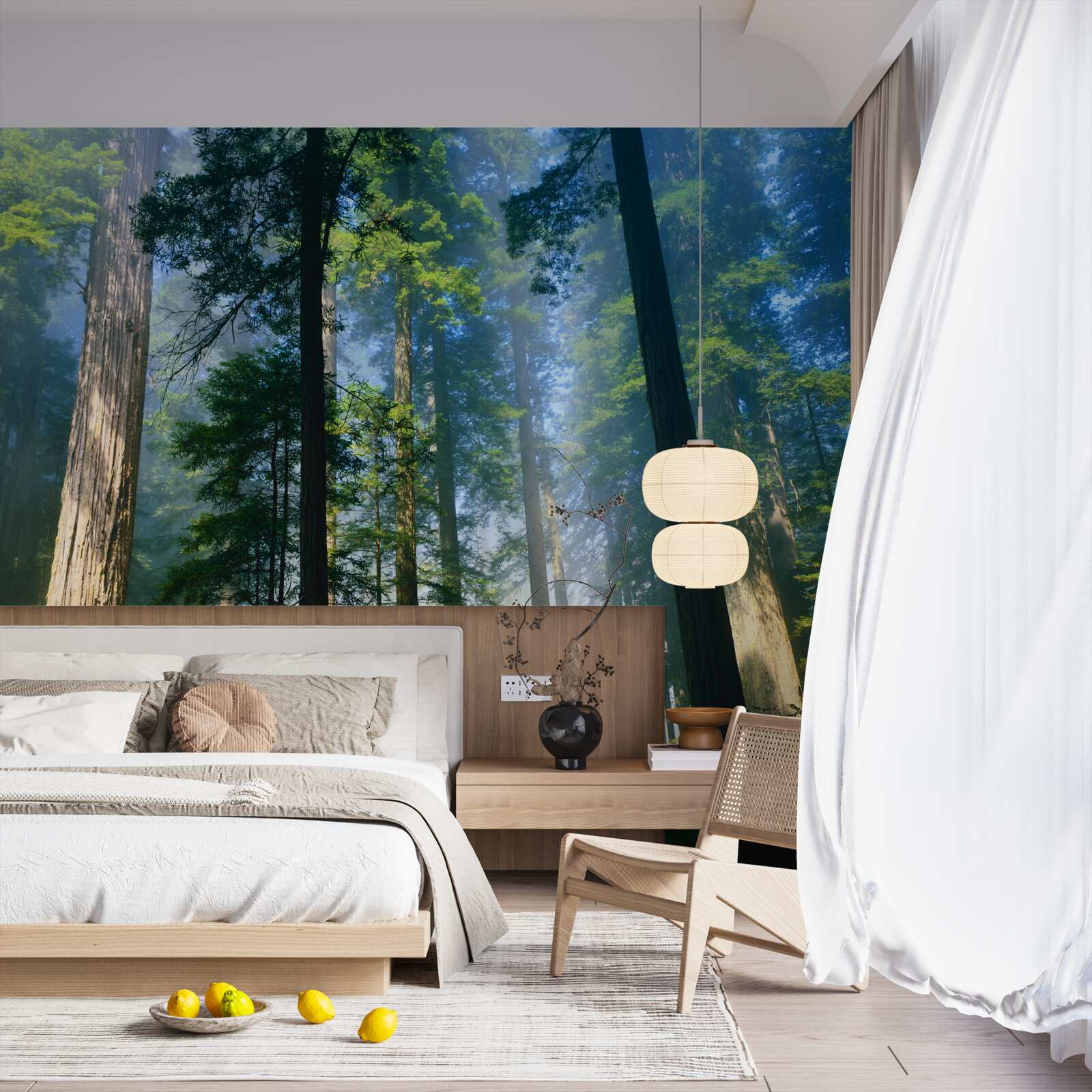 Фотошпалери тонкий туманний покрив серед високих дерев у лісі