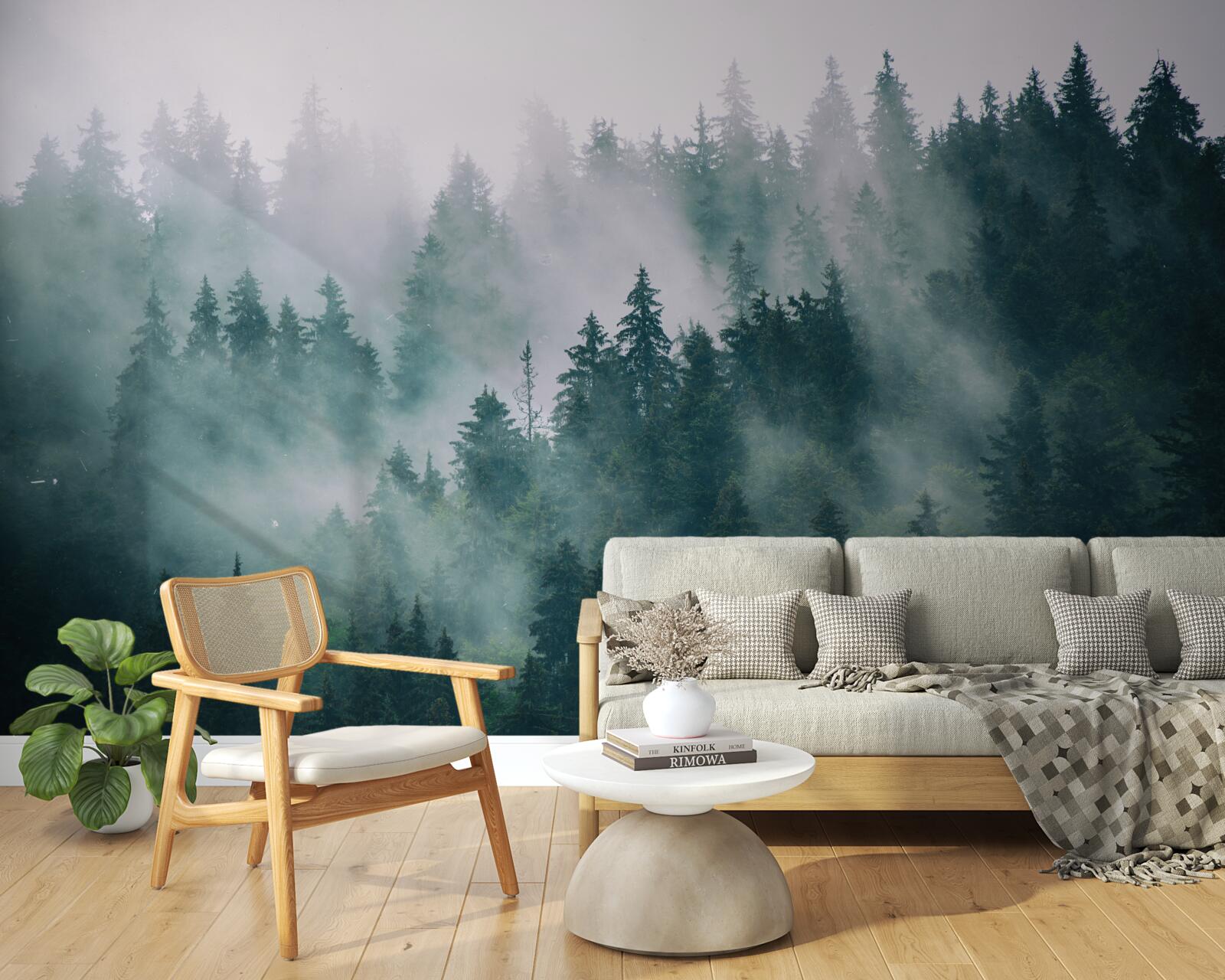 Фотошпалери туманна ранкова година в хвойному лісі