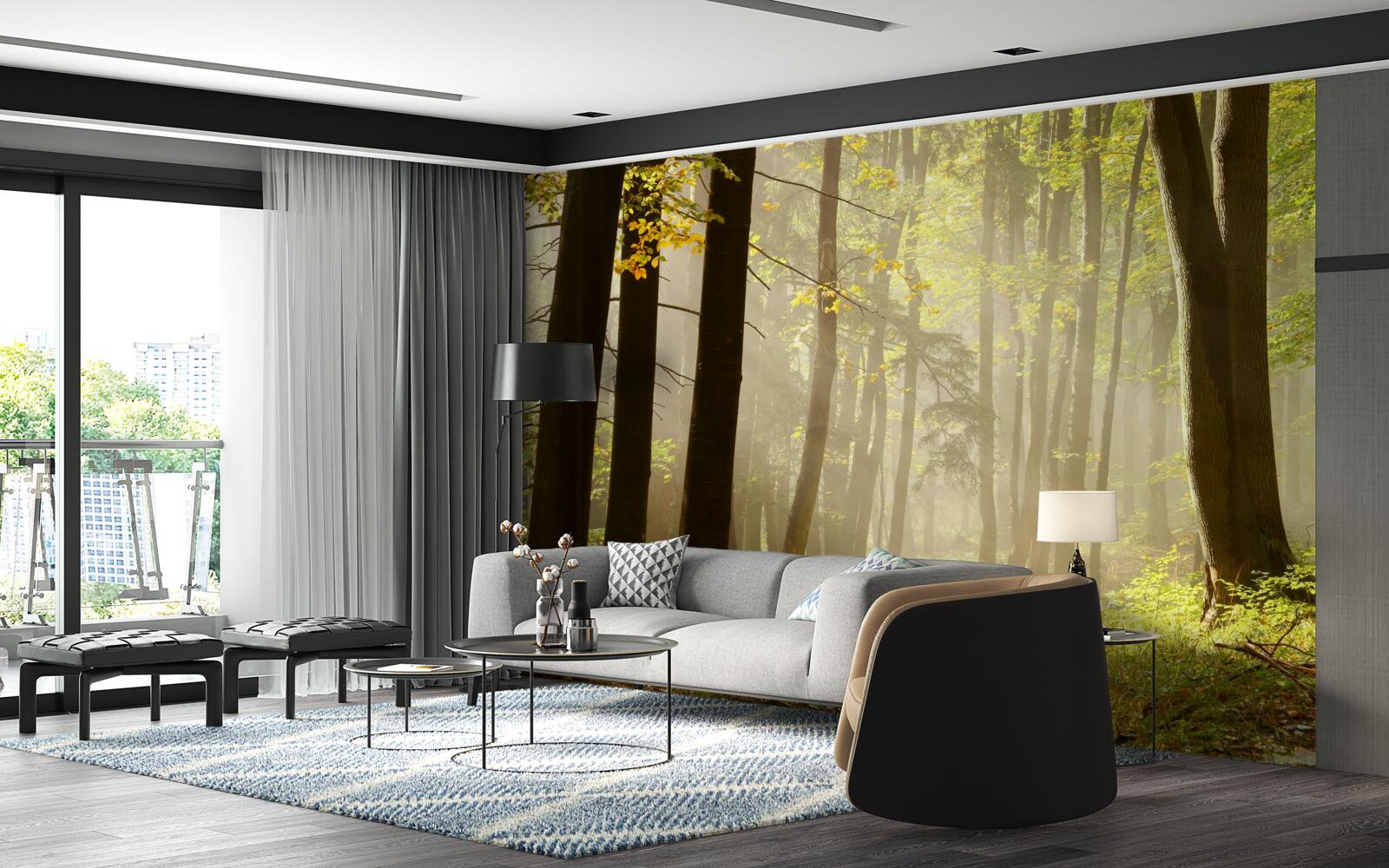 Фотошпалери промені ранкового сонця пронизують туман у пустелі