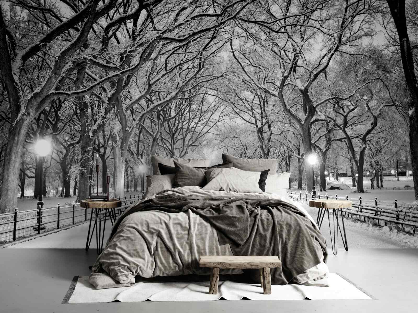 Фотошпалери Засніжена стежка між деревами