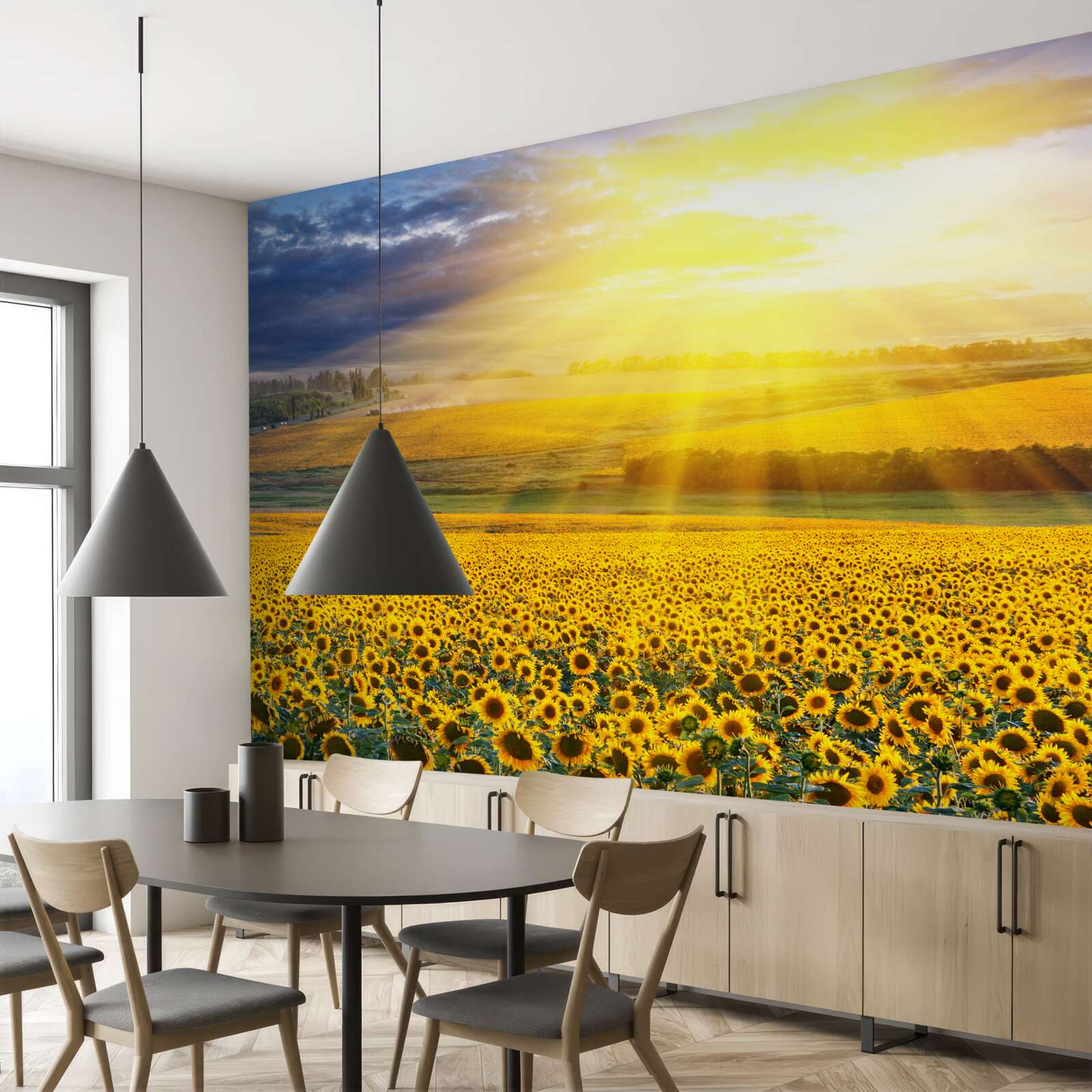 Фотошпалери сонце сяє над полем пишних соняшників